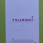 Seisekarte_Tsu2_hds_Produkte_Geschaeftsausstg